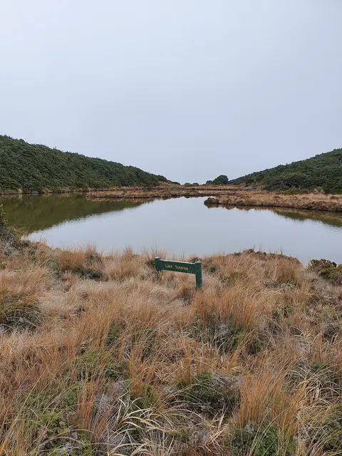 Lake surprise