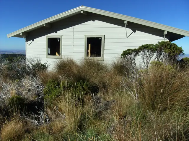 Mangaehuehu Hut