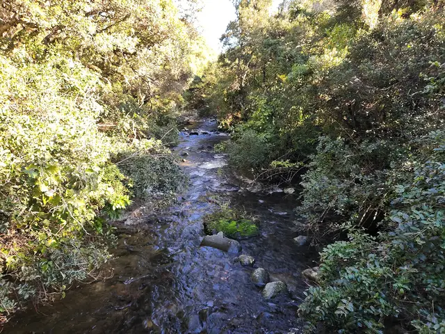 Mangawhero River