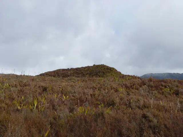 Mounds Walk