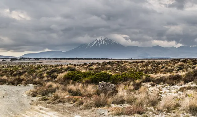 Rangipo Desert 31