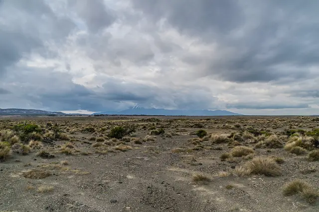 Rangipō Desert