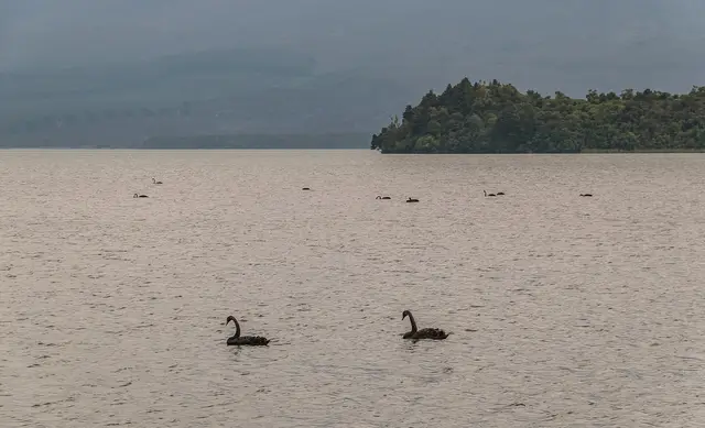 Lake Rotoaira 03