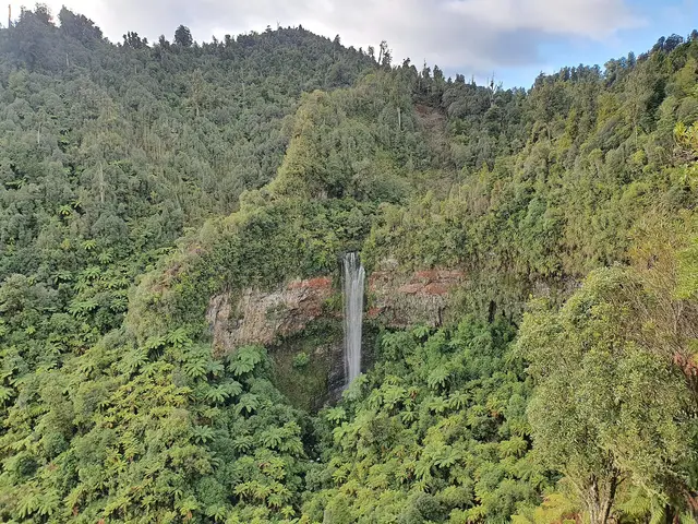 Tupapakurua falls 4