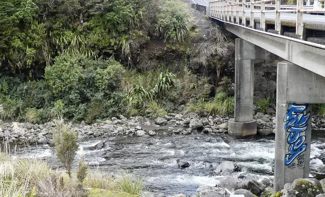 Whakapapaiti 2 MRD