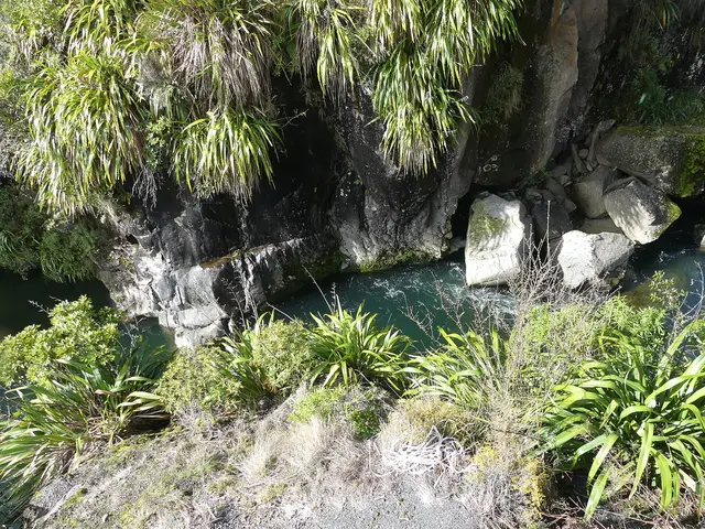 Silica Rapids Track