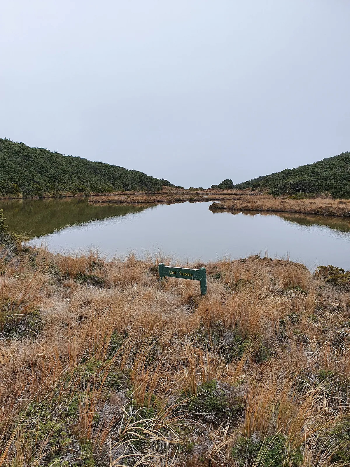 Lake Surprise via Mangaturuturu