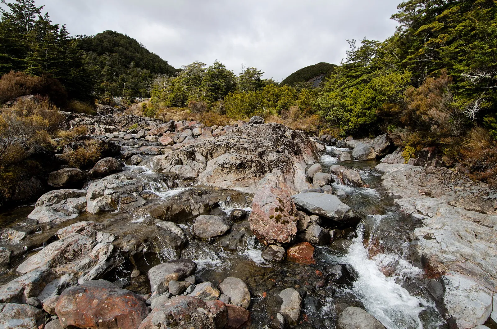 Mangawhero Falls Walk