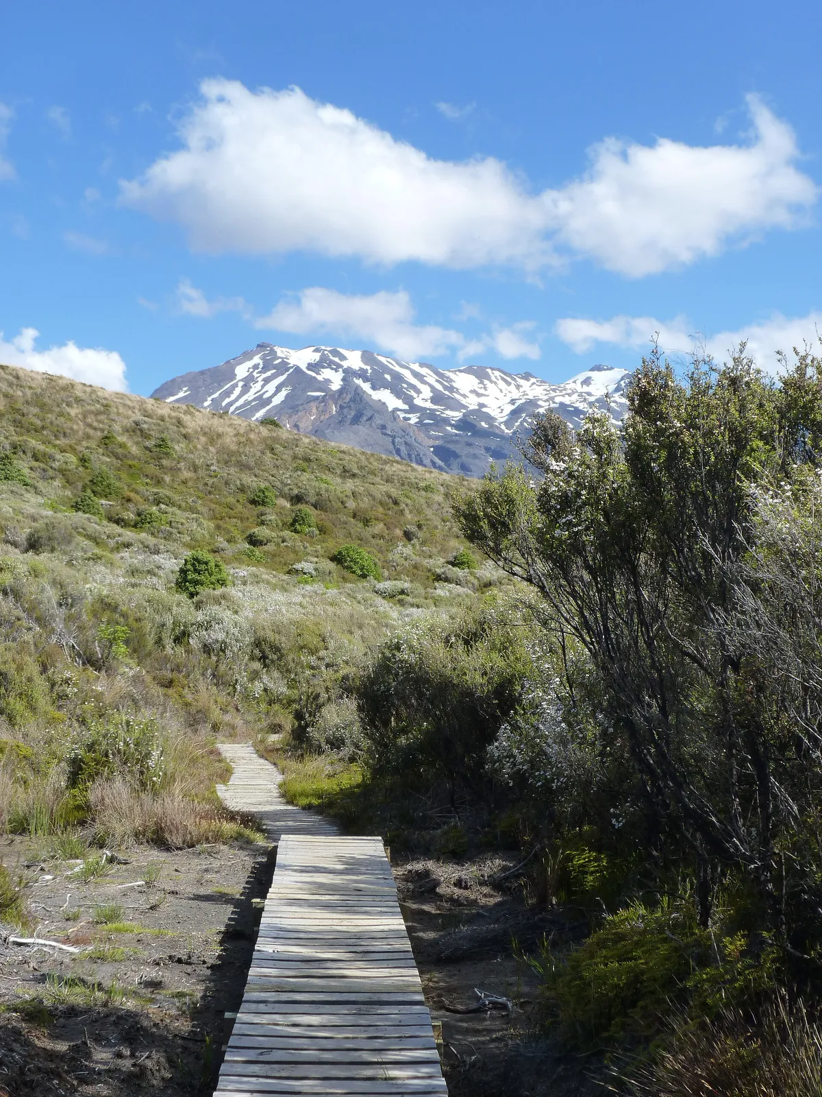 Tongariro Northern Circuit, New Zealand (4)